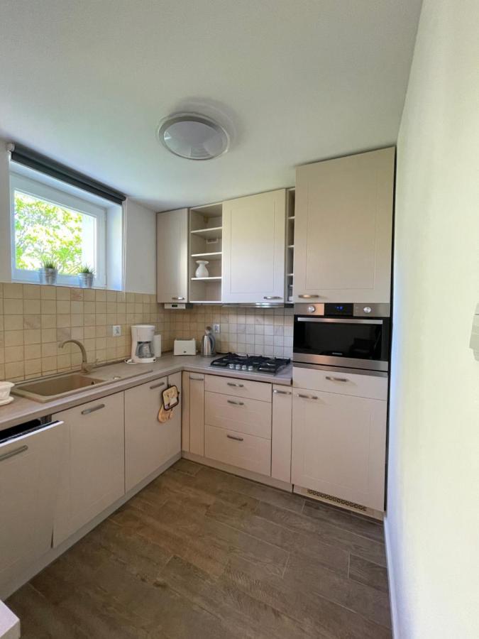 Al-Dom Apartamenty Apartament Zaciszny コウォブジェク エクステリア 写真