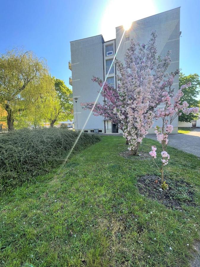 Al-Dom Apartamenty Apartament Zaciszny コウォブジェク エクステリア 写真