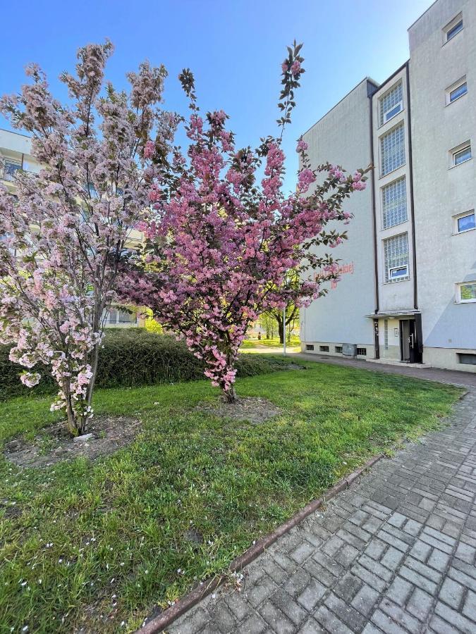 Al-Dom Apartamenty Apartament Zaciszny コウォブジェク エクステリア 写真